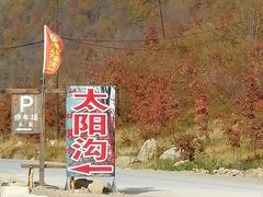 -龙道沟景区