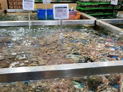 水产区-七鲜超市(万向城店)