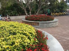 -五通灯塔公园