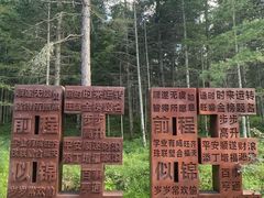 -汤旺河林海奇石景区