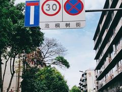 -泡桐树街