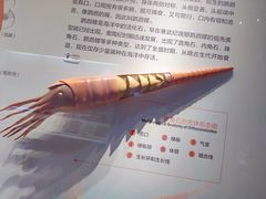 -湖南省地质博物馆