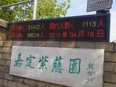 -嘉定紫藤园