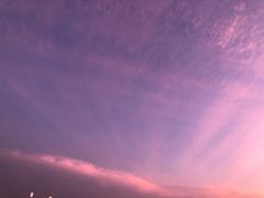 -演武大桥观景平台