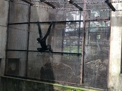 -昆明动物园