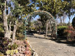 -崇圣寺三塔文化旅游区