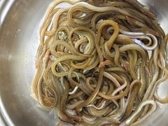 -彩虹沙滩