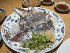 -桂马·日本料理·海胆·海鲜饭·酒场(民主广场店)