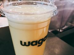 -Wagas沃歌斯(虹桥机场T1店)