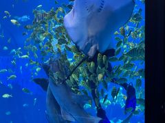 -太平洋海底世界