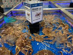 -盒马X会员店(上海森兰商都店)