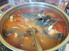 -弘烨 贵州酸汤 鱼火锅(东财店)