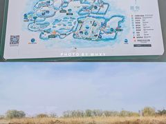 -长兴太湖图影湿地文化园