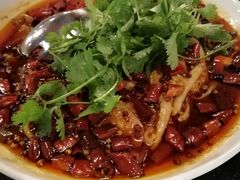 -华豫川酒家(大卫城店)