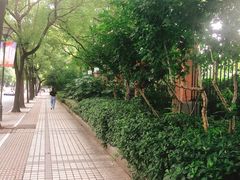 -同济大学四平路校区游泳馆