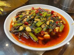 -胖大姐黄辣丁鱼庄(新津店)