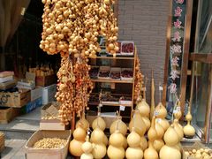 -中环花鸟鱼虫市场