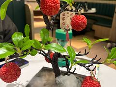 -椿记烧鹅(叠彩店)