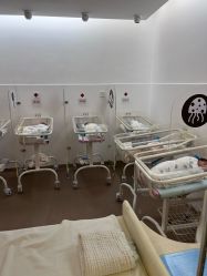 -海豚湾高端月子会所(黄浦店)