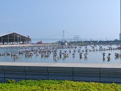 -星海广场