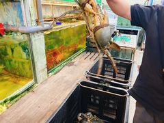 -無招牌海鮮(芽笼店)