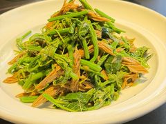 -三强鸽子(中原路店)