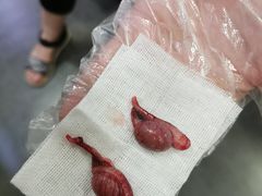 -宠爱国际动物医院· 猫科· 外科·中兽医(长白店)