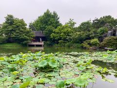 -杭州西子湖四季酒店·金沙厅