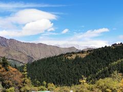 -黄龙山原始森林景区