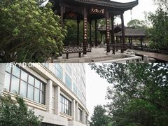 -扬州香格里拉·香宫中餐厅
