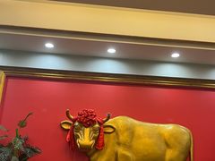 -友谊肥牛