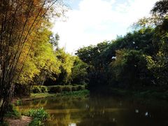 -大屏嶂森林公园
