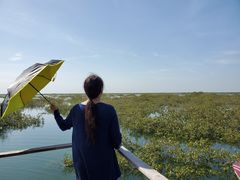 -北海金海湾红树林生态旅游区