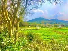-红山村