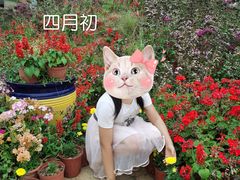 -松山湖梦幻百花洲