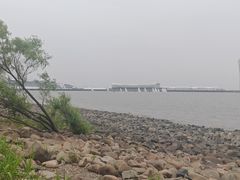 -吴淞炮台湾湿地森林公园烧烤区