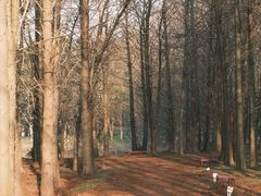 -上海海湾国家森林公园