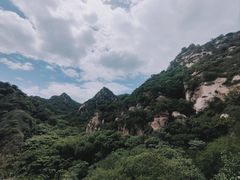 -大岭沟猕猴桃谷风景区
