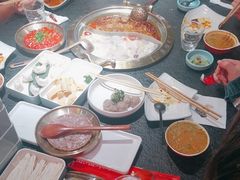 -熊喵来了火锅·牧场好肉(邯郸邯山万达店)