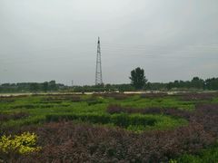 -北京拉斐特城堡酒店