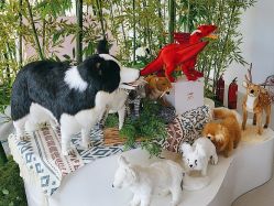 点击看大图 -IMON·HANSA潮玩玩偶毛绒玩具(通州万象汇店)