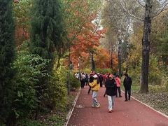 -长春市南湖公园