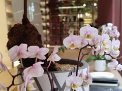 -二酉书店TOYOU BOOKS