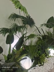 -HEYAN荷妍专业脱毛连锁机构