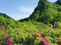-龙峪湾国家森林公园