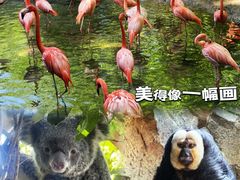 -红山森林动物园
