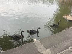 -珠海圆明新园