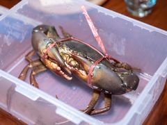 -亚特兰蒂斯·蟹餐厅 CRAB KITCHEN·鲜活海鲜