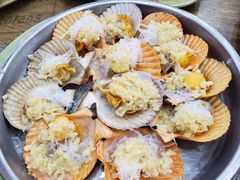 蒜蓉扇贝-贞姨美食·老字号海鲜大排档