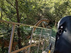-伏羲山旅游区